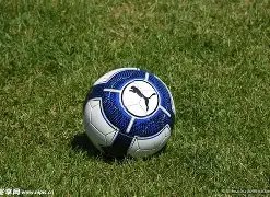 尼科,冈萨雷斯,非罗德里继,太阳城首页,太阳城官方网站,太阳城平台,太阳城